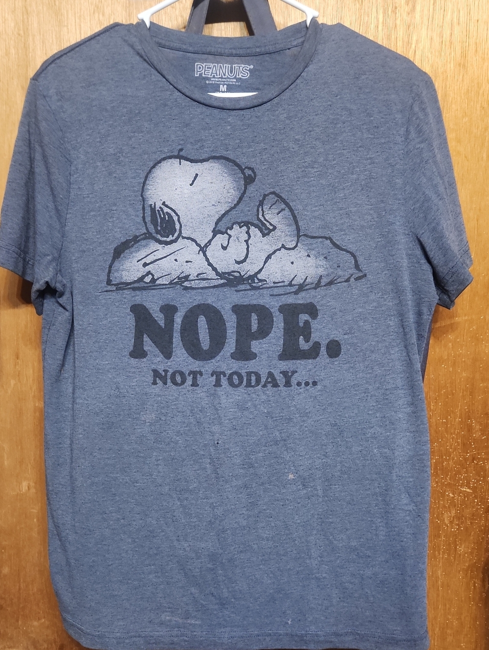 Peanuts Men's Snoopy 'NOPE. Not Today...' Graphic Tee - Heather Blue